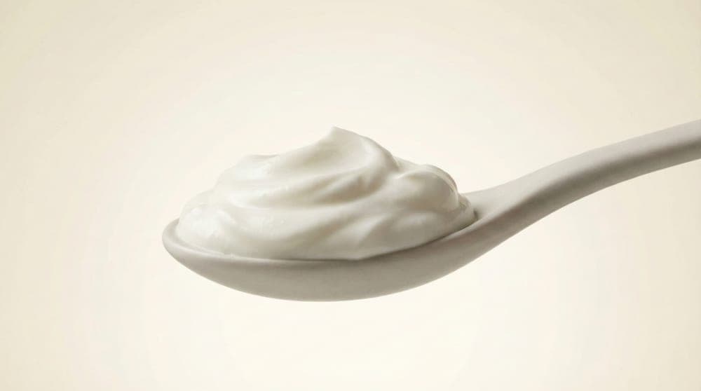 A spoon of plain Greek yogurt